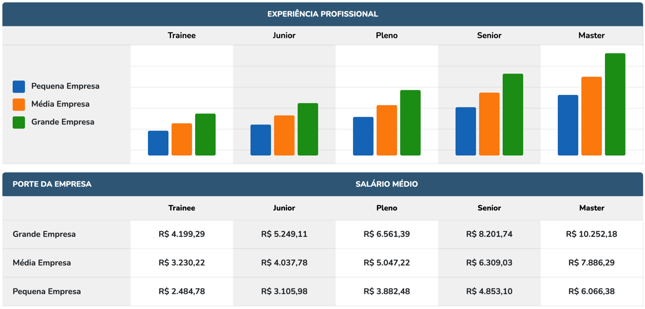 Engenheiro De Software O Que Faz Quanto Ganha